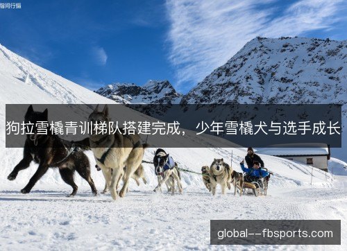 狗拉雪橇青训梯队搭建完成,少年雪橇犬与选手成长 狗拉雪橇青训梯队搭建完成,少年雪橇犬与选手成长